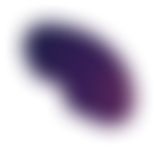 Play'a app features displayed on a laptop